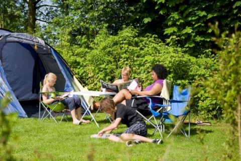 Comfortplaats Kamperen in Zeeland Camping Ginsterveld  3