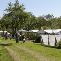 Kamperen in Burgh-Haamstede Camping Ginsterveld